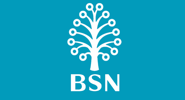 Bank Simpanan Nasional